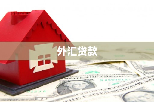 祁县外汇贷款