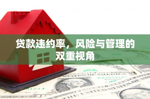 祁县贷款违约率，风险与管理的双重视角