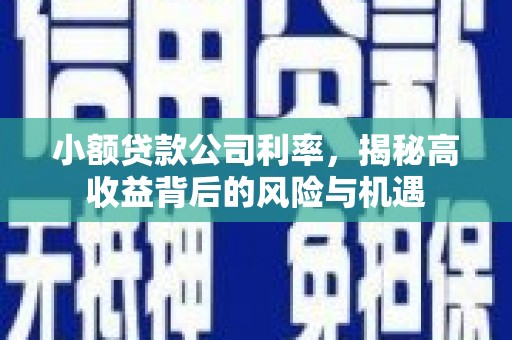 祁县小额贷款公司利率，揭秘高收益背后的风险与机遇