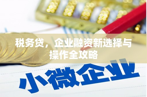 祁县税务贷，企业融资新选择与操作全攻略