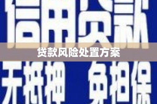 祁县贷款风险处置方案