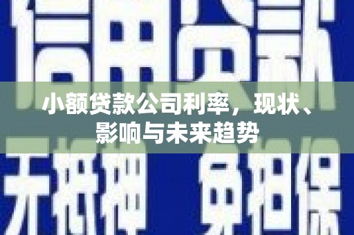 祁县小额贷款公司利率，现状、影响与未来趋势