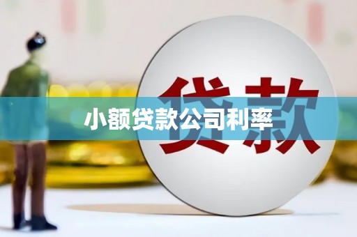 祁县小额贷款公司利率