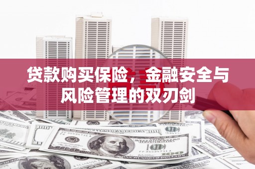 祁县贷款购买保险，金融安全与风险管理的双刃剑