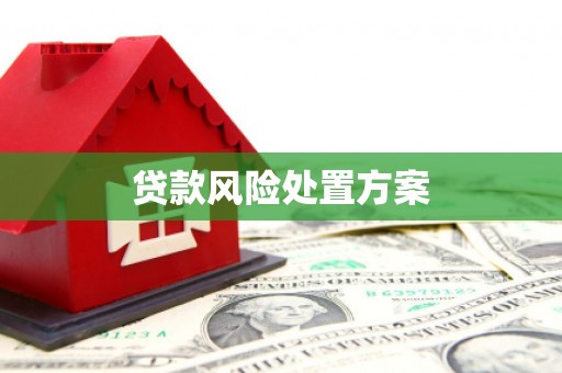 祁县贷款风险处置方案