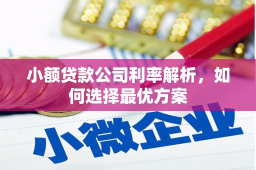祁县小额贷款公司利率解析，如何选择最优方案