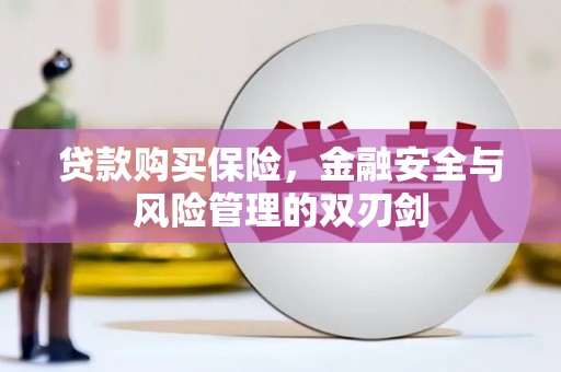 祁县贷款购买保险，金融安全与风险管理的双刃剑