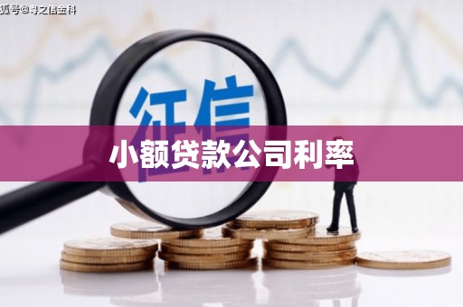 祁县小额贷款公司利率