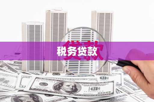 祁县税务贷款