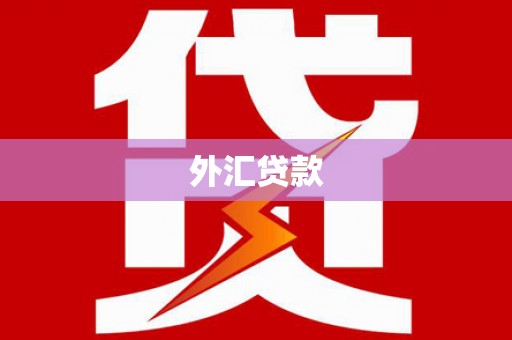 祁县外汇贷款