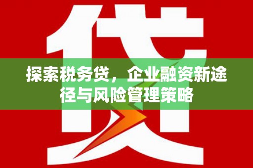 祁县探索税务贷，企业融资新途径与风险管理策略