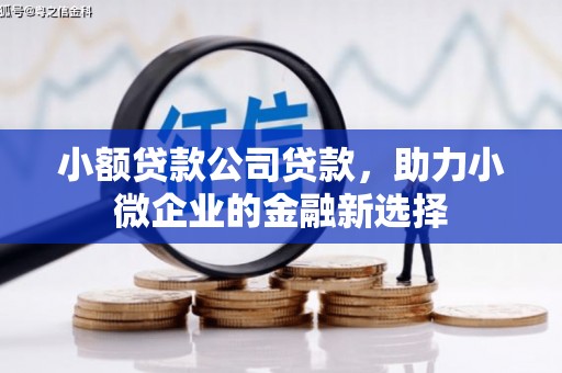 祁县小额贷款公司贷款，助力小微企业的金融新选择