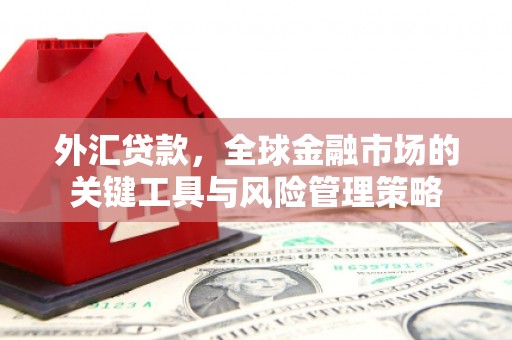 祁县外汇贷款，全球金融市场的关键工具与风险管理策略
