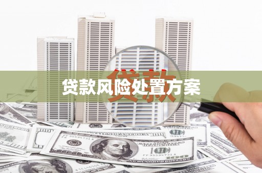 祁县贷款风险处置方案