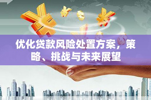 祁县优化贷款风险处置方案，策略、挑战与未来展望