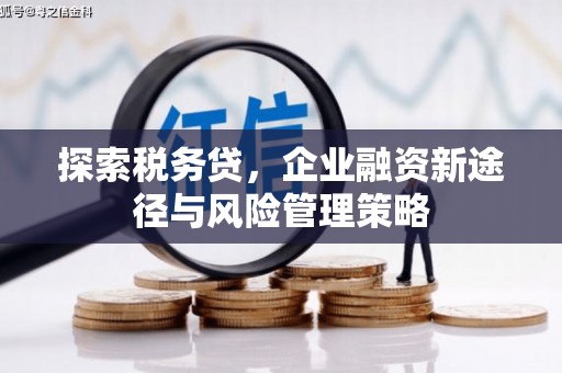祁县探索税务贷，企业融资新途径与风险管理策略