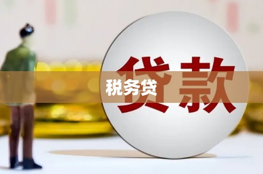 祁县税务贷