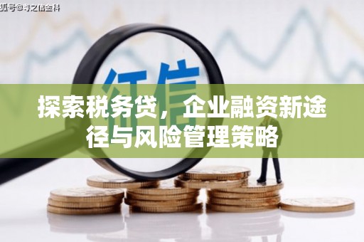 祁县探索税务贷，企业融资新途径与风险管理策略