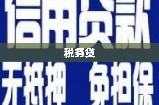 祁县税务贷