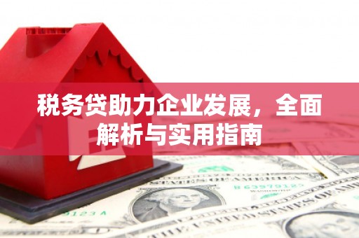 祁县税务贷助力企业发展，全面解析与实用指南