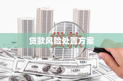 祁县贷款风险处置方案