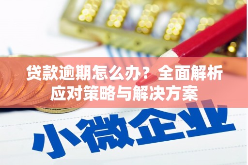 祁县贷款逾期怎么办？全面解析应对策略与解决方案