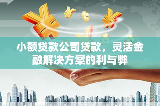 祁县小额贷款公司贷款，灵活金融解决方案的利与弊