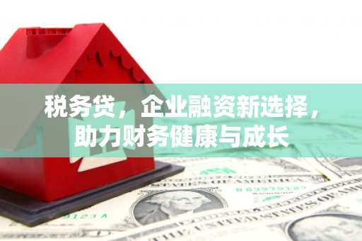 祁县税务贷，企业融资新选择，助力财务健康与成长